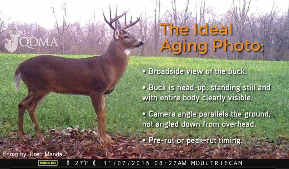 qdma ideal aging photo