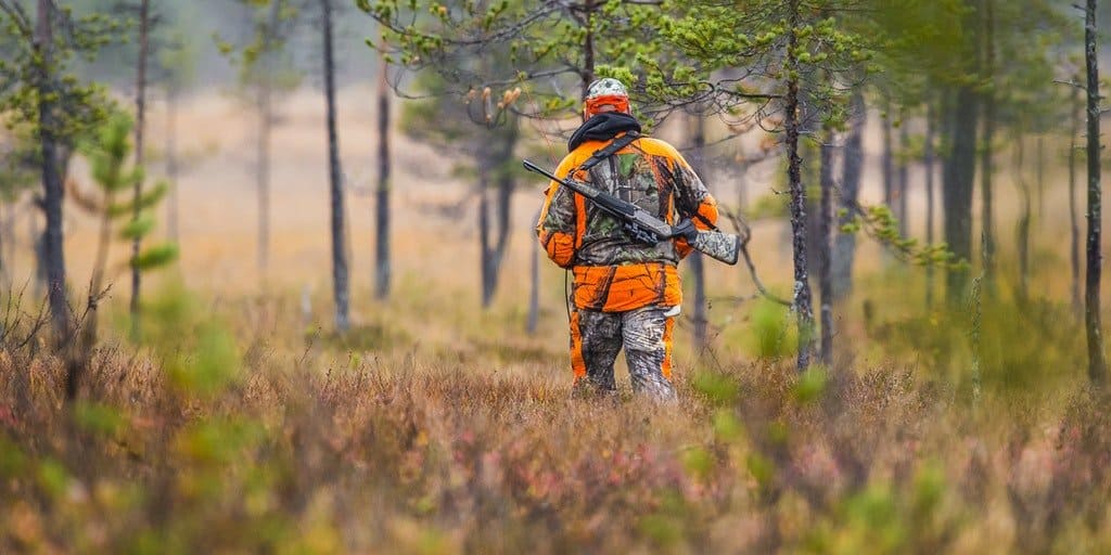Can Whitetail Deer See Orange? – Omega Outdoors