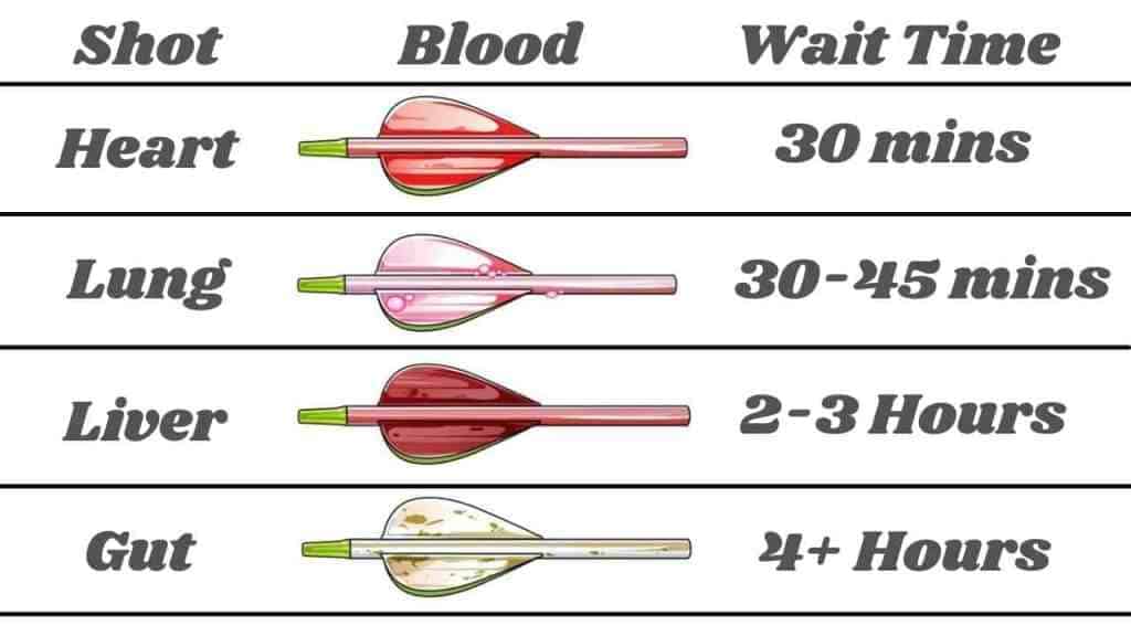 deer blood color chart Deer blood color chart arrow