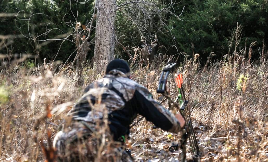 How to Spot and Stalk Whitetail Deer