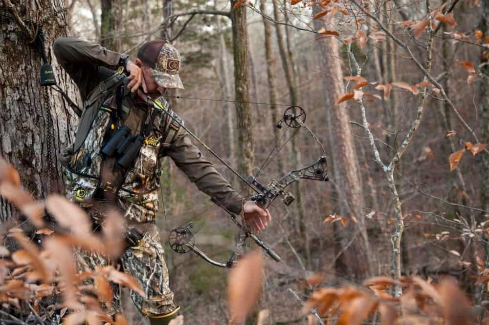 Bow Draw Weight for Whitetail Hunting