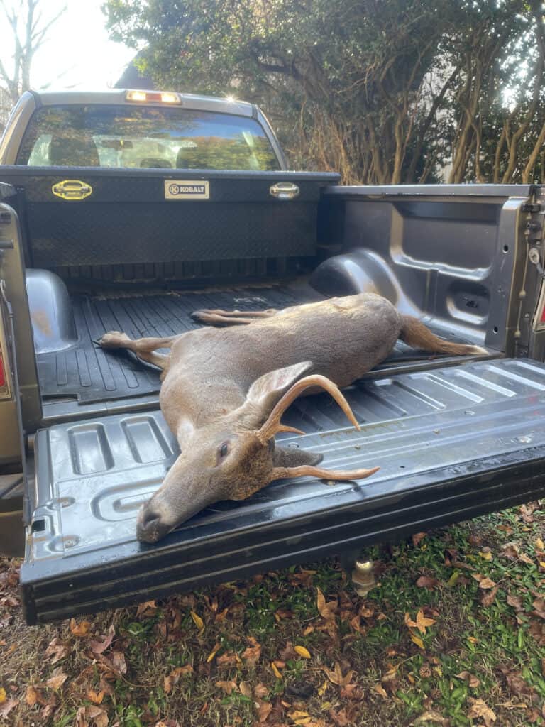 buck in the bed of a truck