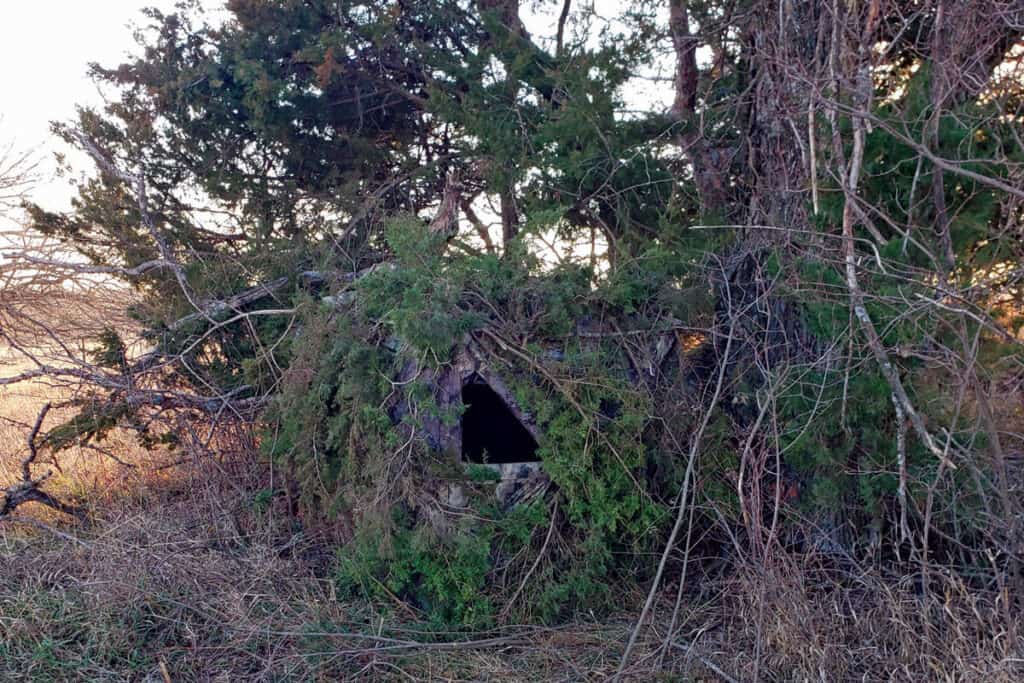 a brushed in ground blind