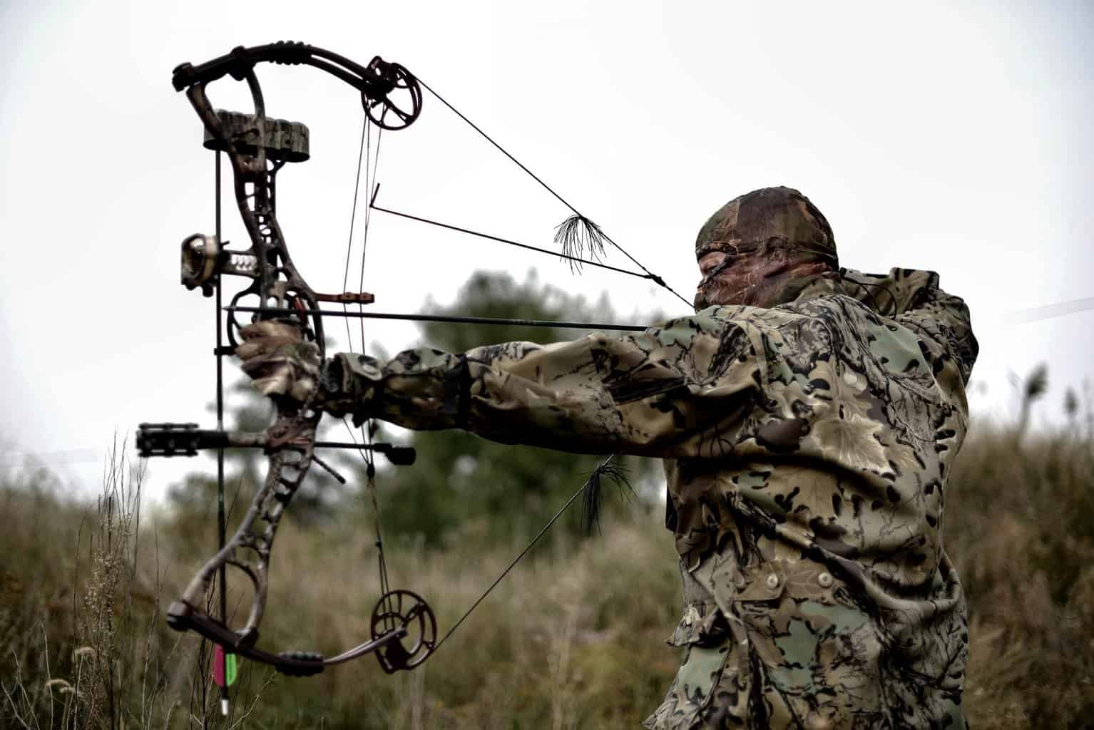 Are Expensive Compound Bows Worth It? [The TRUTH] Omega Outdoors