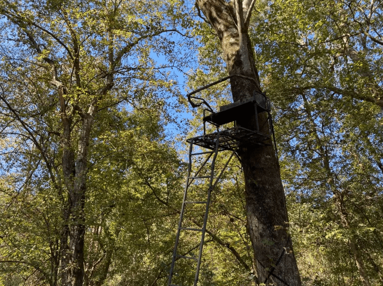 ladder double stand