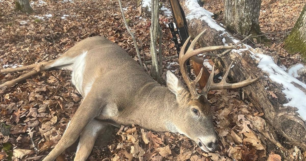How Long Can You Wait to Gut & Clean a Deer?