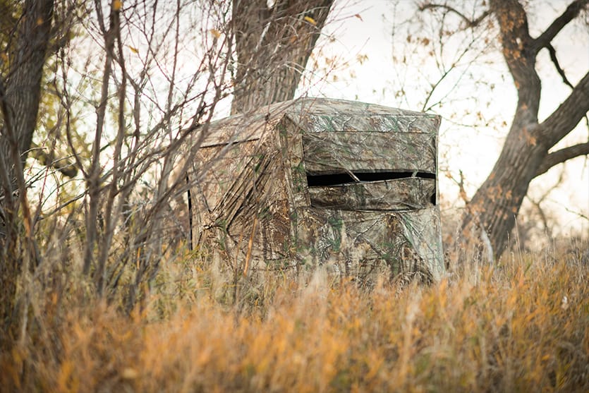 What Should You Have In Your Ground Blind?