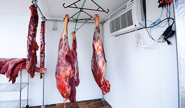 hanging deer meat