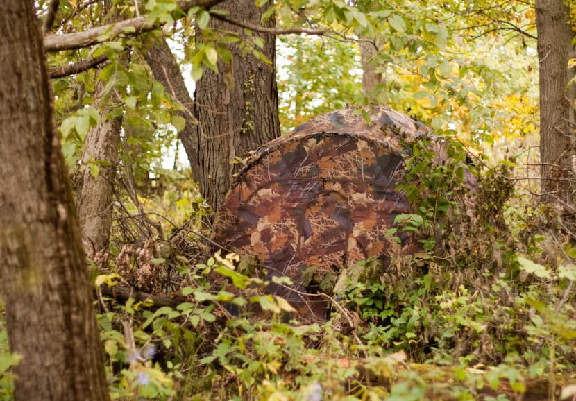 When to Use a Ground Blind to Get a HUGE Advantage
