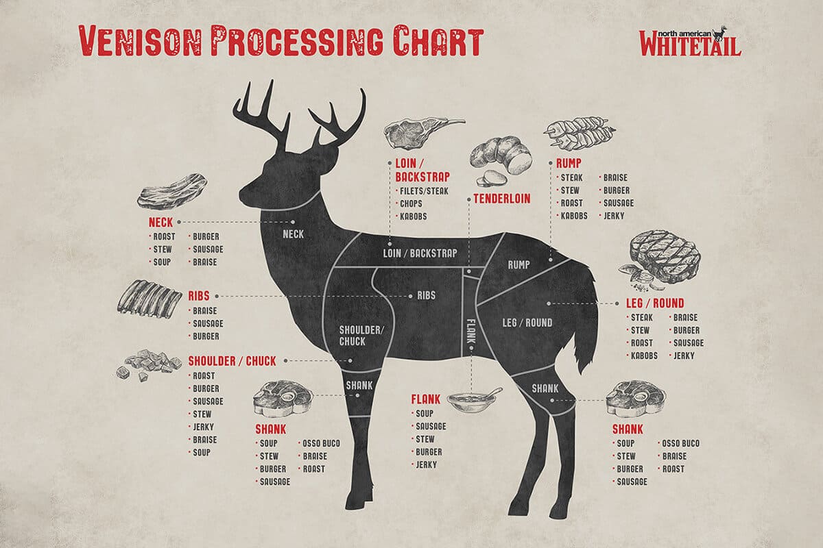 DIY Deer Processing VS Using A Professional Processor – Omega Outdoors